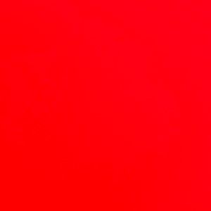 Meet your Posher, Isabella